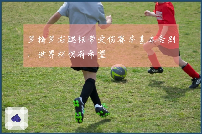 罗梅罗右腿韧带受伤赛季基本告别，世界杯仍有希望