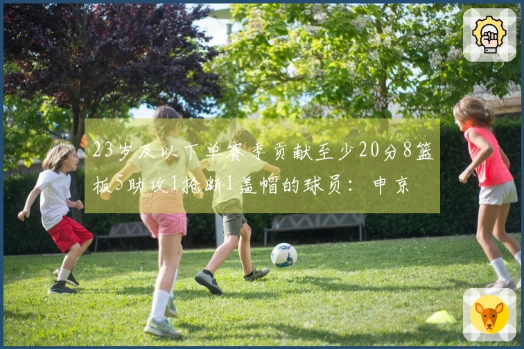 23岁及以下单赛季贡献至少20分8篮板5助攻1抢断1盖帽的球员：申京 字母 狼王