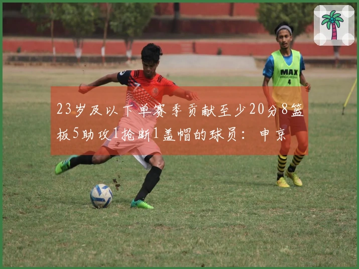 23岁及以下单赛季贡献至少20分8篮板5助攻1抢断1盖帽的球员：申京 字母 狼王