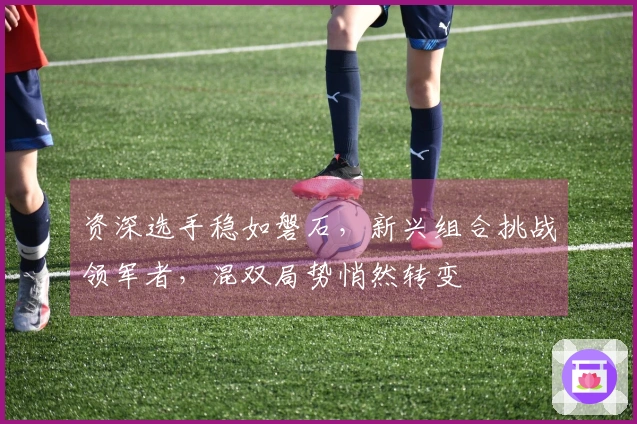 资深选手稳如磐石，新兴组合挑战领军者，混双局势悄然转变